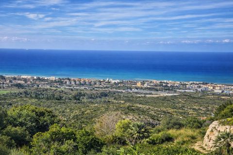 Tomt i Benimeli, Alicante, Benimeli - € 83 000 | Ref: PNPT297 - foto 20